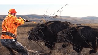 This 430lb Wild Boar Charged at Us from 10 Feet 1 – Hog Hunting Gets Real!