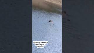 Crossing water with bivy bag as a dry sack