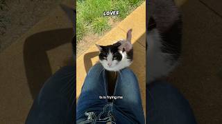 This Cat’s Secret Life Will Shock You!😱  (@skydawne - TT)