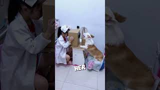 Dog helps owner become a doctor ❤️ #shorts
