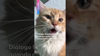 Diálogo fluente em miadês: quando o gato é mais comunicativo que você #g1 #shorts