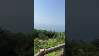 ウミダァー