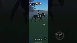Waterfall Hack With Me and Shadow! #strideway #horse #horses