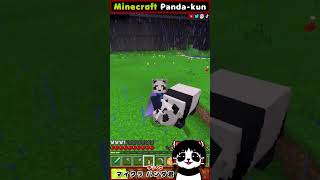 パンダ君とパンダ [マイクラ統合版＆JAVAマルチサーバー]