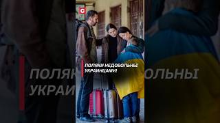 Поляки недовольны украинцами! #польша #украина #беженцы #политика #новости