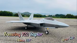 Freewing F22 Raptor 90mm EDF 遙控飛機 苗栗飛場
