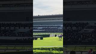 2024年 中山グランドジャンプ（J･GⅠ） | 第26回 | JRA 障害 競馬