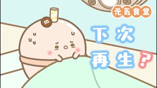 【元氣食堂】還能下次再生？Can it be regenerated next time?