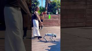 This dog won’t bite… but it might dance Robot dog. #robotdogs #robot #technology #smartgadgets