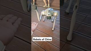 Dogs robot on China #robot #dogrobot #ai #technology #funny #pakistan #china #automobile #india