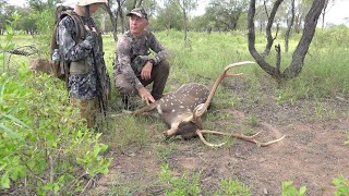 Deer Hunting Australia, Chital Stag   4K