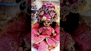 makhanchor #makhanchor #harekrishna #laddugopalshorts