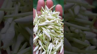 Bridal jasmine flower gajra/garland/diy flower hair accessories #shorts #jasmineflower #hobby #diy