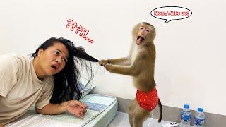 Monkey Lyly woke up restlessly early when she moved to her new home.