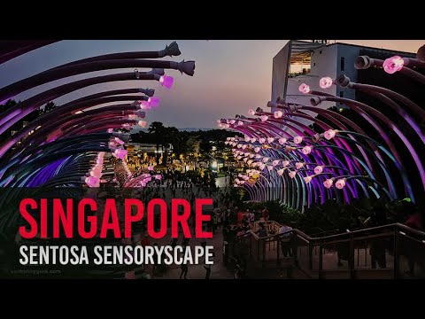 A Visit at Sentosa Sensoryscape  4K | #sensoryscape #sentosa #visitsingapore