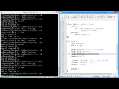Programming example: Derived class