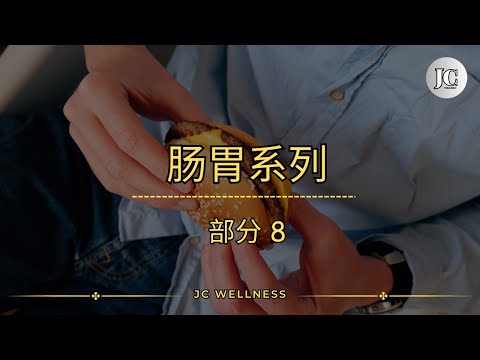 这么吃，快速改善消化问题丨肠胃系列丨部分 8丨别吃太快，吃饭要专心丨细嚼慢咽丨这么吃，快速改善消化问题丨肠胃丨JC WELLNESS