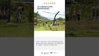 慈濟週報 第81期-4 跨越國界的尋根之旅 回歸心靈故鄉