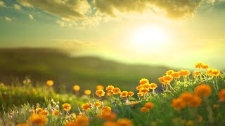 Morning Relaxing Music - Positive Feelings and Energy (Adele)