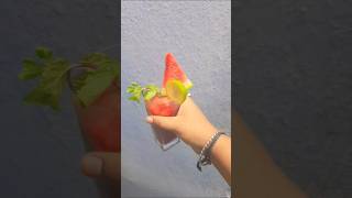 watermelonmojito#shubmangill#viralvideo#viratkohli#youtubeshorts#srk#sky#song#bollywood#movie#tseris