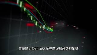 财经知识分享平台