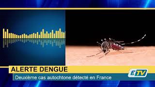 ALERTE DENGUE : un deuxième cas autochtone détecté en FRANCE