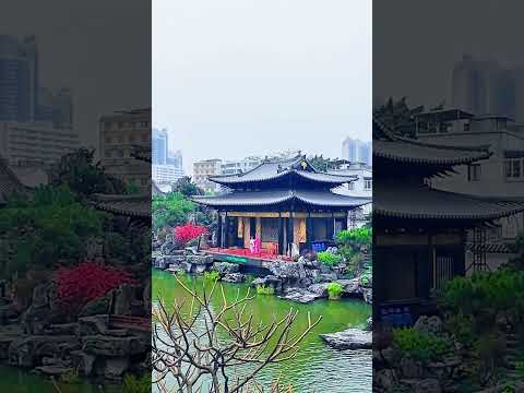 China 144 Hour Transit: Guangzhou Yongqing Lane Chinese Opera
#4k #china #travel #guangzhou #opera