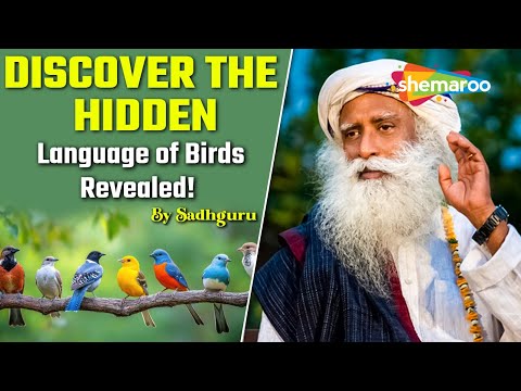 Discover The Hidden Language Of Birds Revealed! By Sadhguru | Sadhguru On Birds