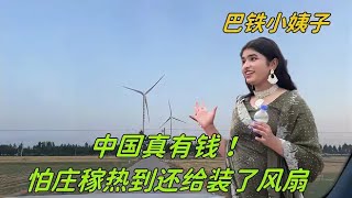 巴鐵妹妹第一次見風力發電機，都懵了：農作物都有風扇吹中國真有錢
