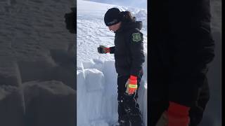 Seattle Ridge snowpack update