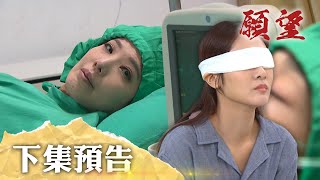願望 EP244 預告｜母女身分對換！？冬雨手術成功重見光明 麗君感嘆「幸好能看見你最後一眼」！愛倫良心依然在 面對爸爸針對前夫該怎麼做？｜【PP石墨烯塑崩打卡褲】