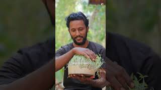 How to Grow Microgreens Very Easy🌱🔥