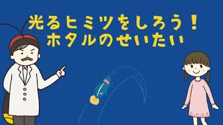 光るヒミツを知ろう！ホタルの生態