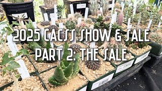Shopping Rare Cactus, Succulents & Handmade Pots | 2025 CACSS Show & Sale (Part 2)