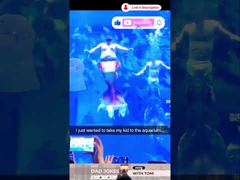 Funniest Aquarium Encounter