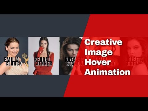 CSS  image hover effect | HTML & CSS