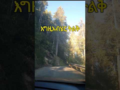 እግዚአብሄር  ትልቅ ነው::#youtube #mezmur #ethiopia #amharic #ethiopian #መዝሙር #shortvideo #ethiopia #amhara