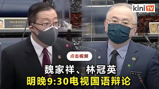 魏家祥林冠英敲定明晚9点半   国语辩论海底电缆课题