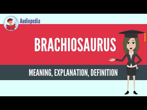 What Is BRACHIOSAURUS? BRACHIOSAURUS Definition & Meaning