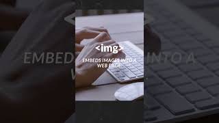 The 5 Most Essential Html Tags You Need To Know!