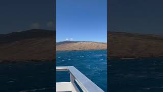 #hawaii #travel #hawaiiholiday #beach #hawaiitravel #hawaiivacation #summer #hawaiitrip