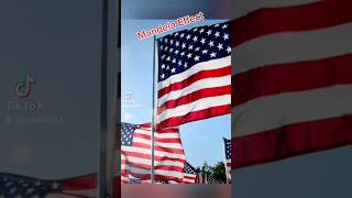 Mandela Effect American Flag #mandelaeffect
