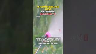 據紅星新聞12月25日消息，女子在種植的韭菜上噴灑“毒死蜱”，經檢測農殘超標，被判半年緩刑一年。