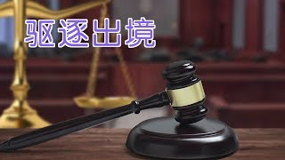 被缺席判决驱逐出境了怎么办