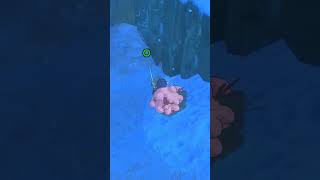 Cute Snow Creature #baldotheguardianowls #shorts #trending #gaming #playthrough #short #shortvideo