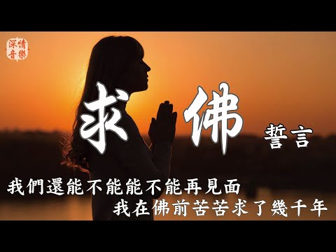 🔄深情精選情歌🔄 求佛 - 誓言 『我們還能不能能不能再見面 我在佛前苦苦求了幾千年』【動態歌詞Lyrics】