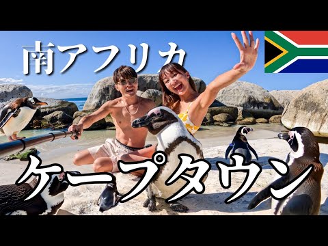 【一生忘れられない】野性のペンギン遭遇！南アフリカの秘境をドライブしてみた結果…