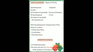 HUMAN REPRODUCTION Notes Class:12 NEET short Notes  #shorts  #neet2022  ❤️⚕️