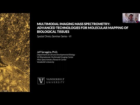 Multimodal Imaging Mass Spectrometry: Advanced Technologies for Molecular Mapping of Tissues