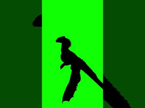 Free Green Screen Silhouette of a Dragon | Download High-Quality Video  #videoediting #greenscreen